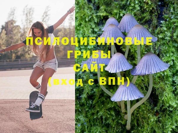 мет Алзамай