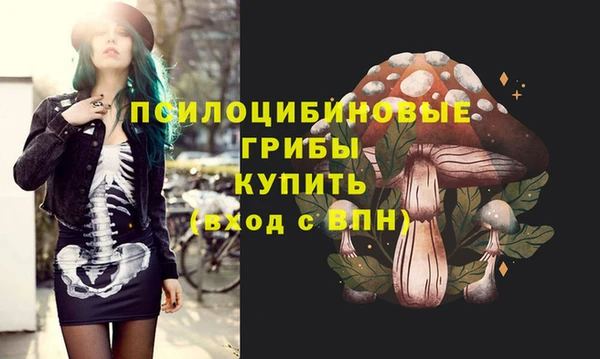 мяу мяу мука Алексеевка