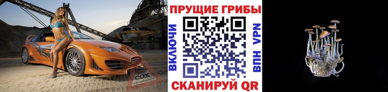 Галлюциногенные грибы мухоморы  Балтийск 