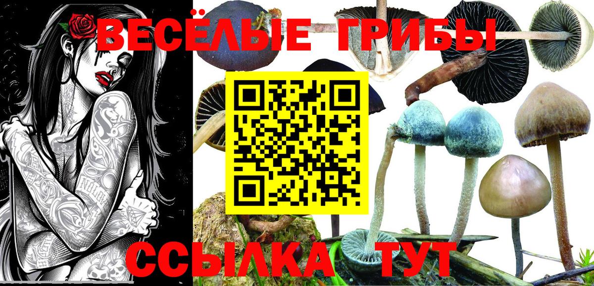 Галлюциногенные грибы Cubensis  Псилоцибиновые грибы MAGIC MUSHROOMS  Вход с VPN  Балтийск 